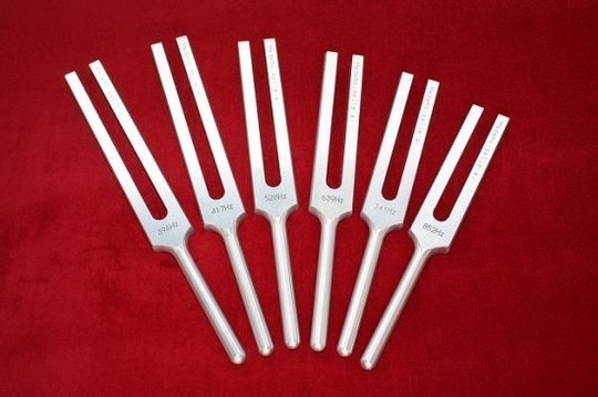 音叉療法について - 三条市で腰痛改善・骨盤矯正なら西裏館整体院